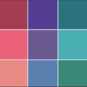 Meet your Posher, Destiny